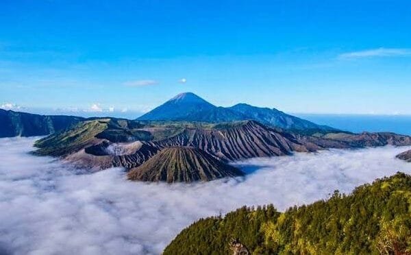 bromo